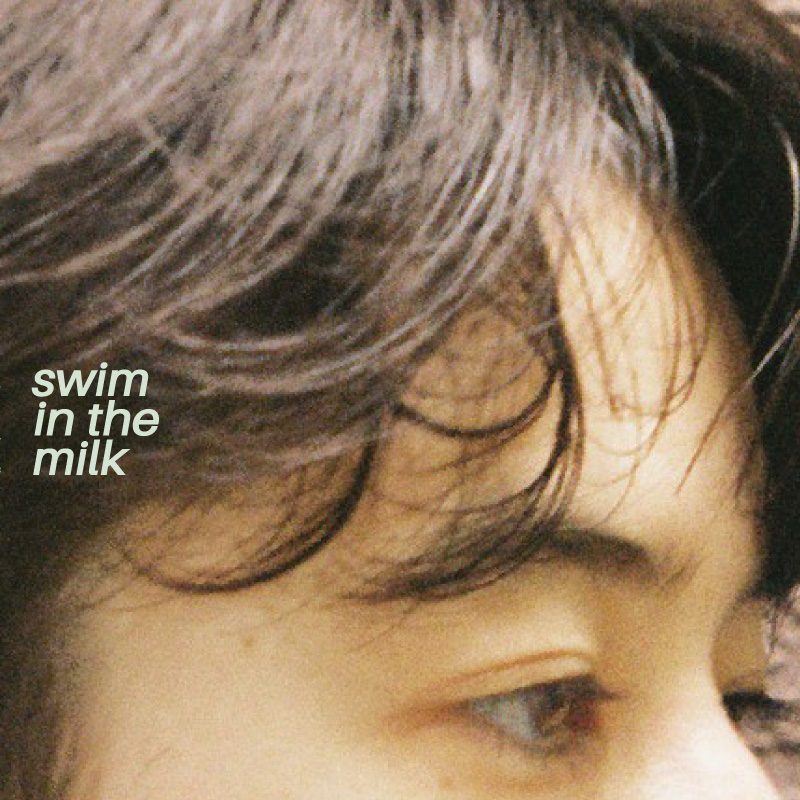 LIGHTERS – swim in the milk