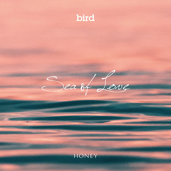 bird – Sea of Love